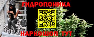 твердый Коммунар