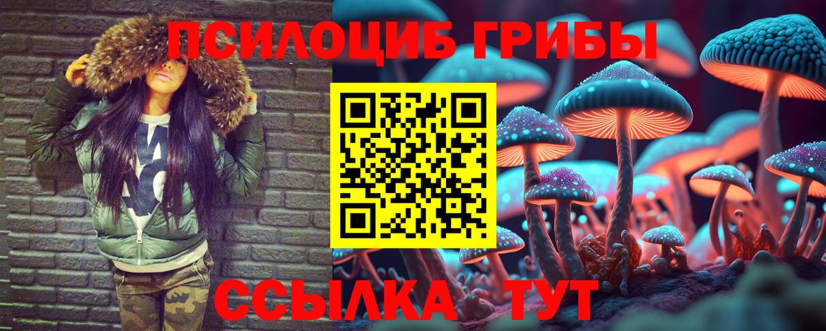 Псилоцибиновые грибы Magic Shrooms Киселёвск