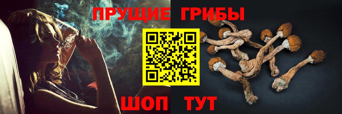 Киселёвск  где продают   Вход с VPN  Псилоцибиновые грибы мицелий 